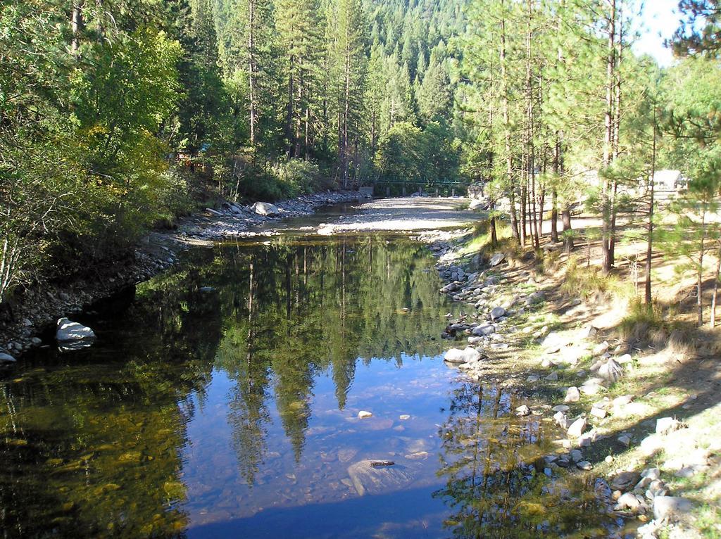 Yosemite Lakes Cabin 39 Harden Flat Exterior photo